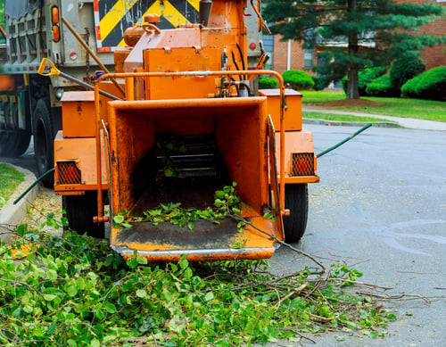 A Spring Yard Cleanup Checklist for Southwest Washington